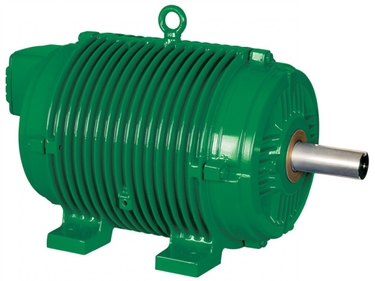 Motor WEG Roller Table