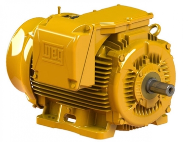 Motor WEG WELL Plus