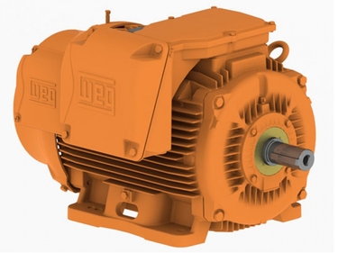 Motor WEG WMining Plus