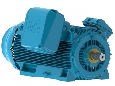 Motor WEG HGF