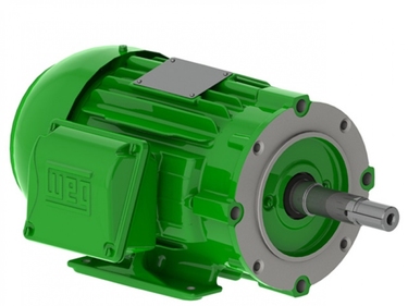 Motor WEG para bomba monobloco